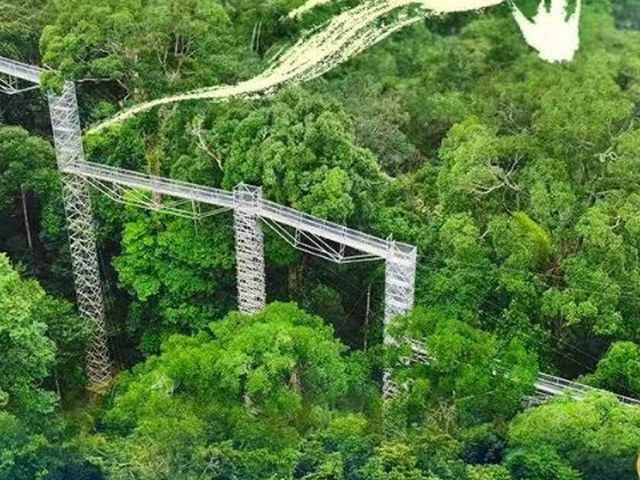 南宁出发·文莱绿野仙踪深度4日游（皇家航空直飞·东方亚马逊雨林·赠船游东方威尼斯）