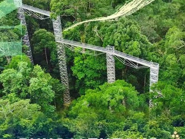 南宁出发·文莱绿野仙踪深度5日游（皇家航空直飞·东方亚马逊雨林·赠船游东方威尼斯）