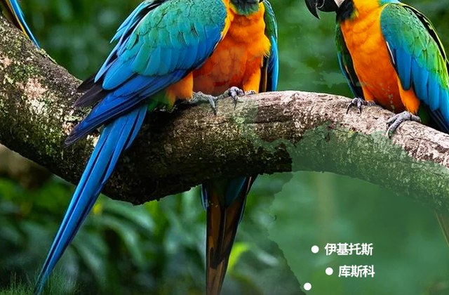全景南美五国22天(巴西 · 阿根廷 · 智利 · 秘鲁 · 乌拉圭)