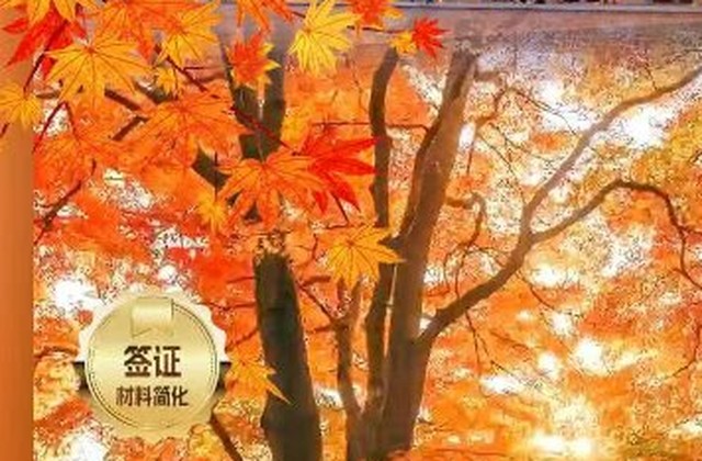 南宁出发·韩国首尔+南怡岛半自助5日游（首尔自由活动一天·景福宫韩服体验）