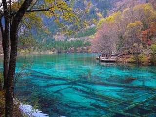 成都·九寨沟·黄龙·都江堰·熊猫基地