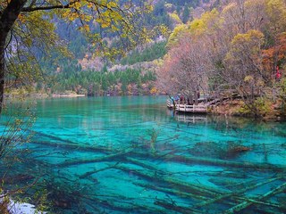 成都·九寨沟·黄龙·岷江源湿地公园纯