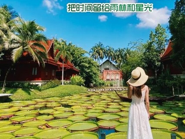 纯玩派π
