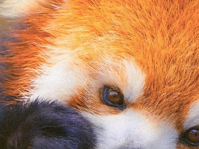 南宁动车·昆明+普洱+西双版纳6天5晚（畅游版纳）