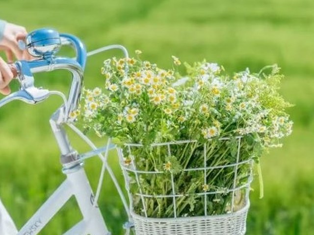 臻品·温德姆2晚