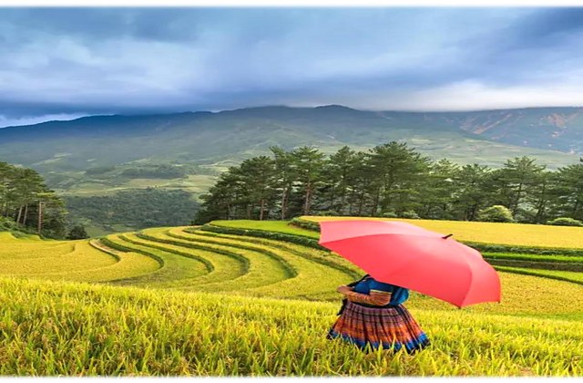 纯净龙脊梯田·龙脊+三星船纯玩5日游（桂林起止）